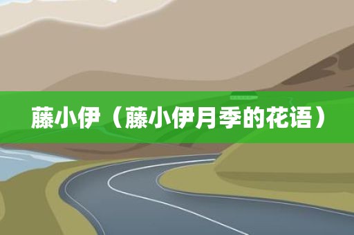 藤小伊（藤小伊月季的花语）