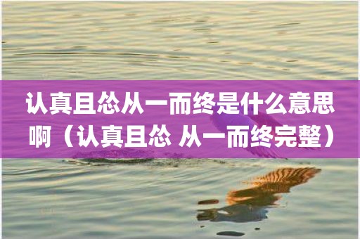 认真且怂从一而终是什么意思啊（认真且怂 从一而终完整）