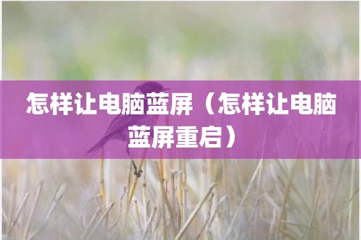 怎样让电脑蓝屏（怎样让电脑蓝屏重启）