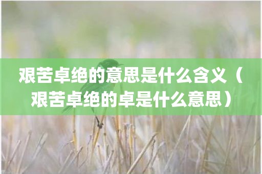 艰苦卓绝的意思是什么含义（艰苦卓绝的卓是什么意思）