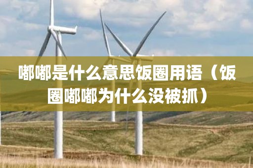 嘟嘟是什么意思饭圈用语（饭圈嘟嘟为什么没被抓）
