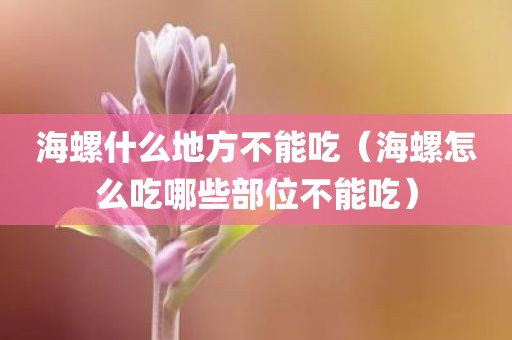 海螺什么地方不能吃（海螺怎么吃哪些部位不能吃）