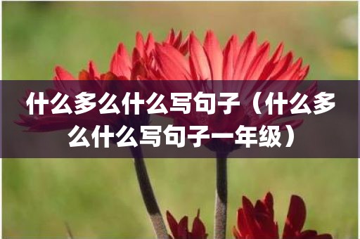 什么多么什么写句子（什么多么什么写句子一年级）