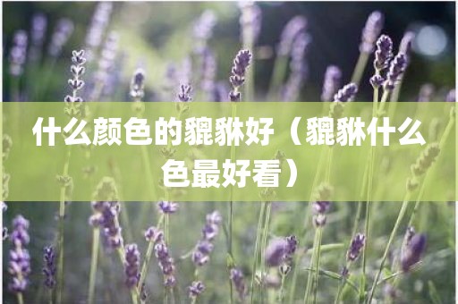 什么颜色的貔貅好（貔貅什么色最好看）