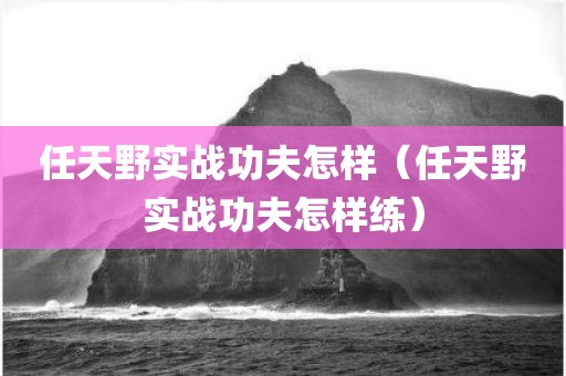 任天野实战功夫怎样（任天野实战功夫怎样练）