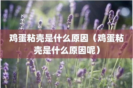鸡蛋粘壳是什么原因（鸡蛋粘壳是什么原因呢）