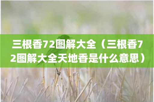 三根香72图解大全（三根香72图解大全天地香是什么意思）
