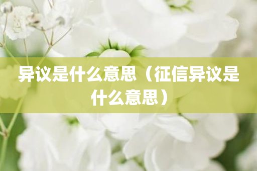 异议是什么意思（征信异议是什么意思）