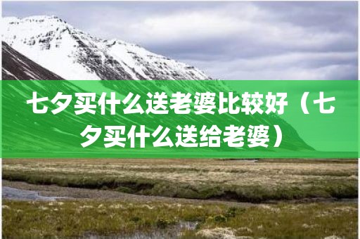 七夕买什么送老婆比较好（七夕买什么送给老婆）