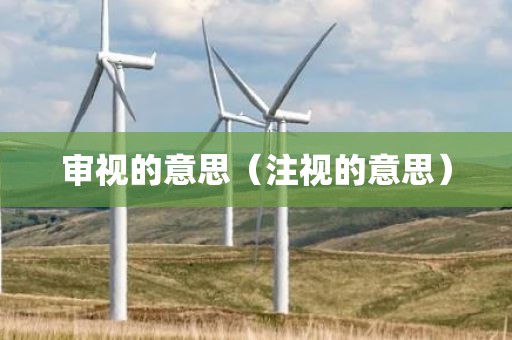 审视的意思（注视的意思）