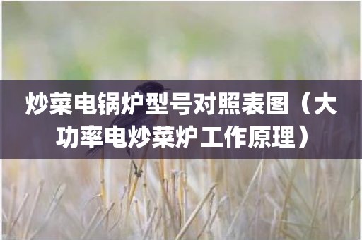 炒菜电锅炉型号对照表图（大功率电炒菜炉工作原理）