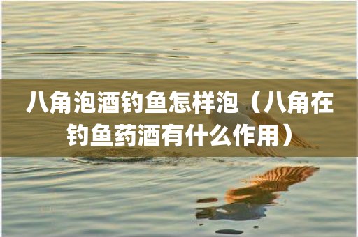 八角泡酒钓鱼怎样泡（八角在钓鱼药酒有什么作用）