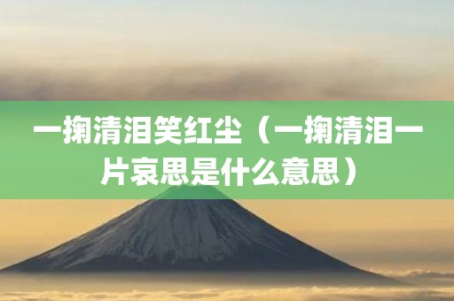 一掬清泪笑红尘(一掬清泪一片哀思是什么意思)