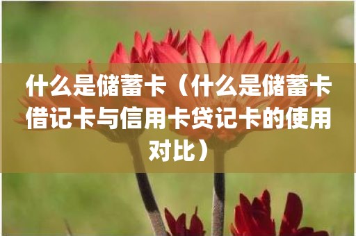 什么是储蓄卡（什么是储蓄卡借记卡与信用卡贷记卡的使用对比）