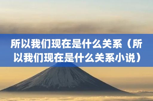所以我们现在是什么关系（所以我们现在是什么关系小说）