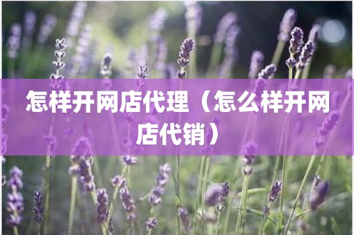 怎样开网店代理（怎么样开网店代销）