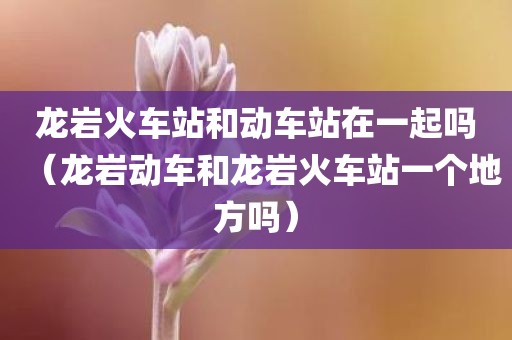 龙岩火车站和动车站在一起吗（龙岩动车和龙岩火车站一个地方吗）