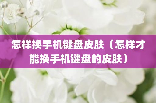 怎样换手机键盘皮肤（怎样才能换手机键盘的皮肤）