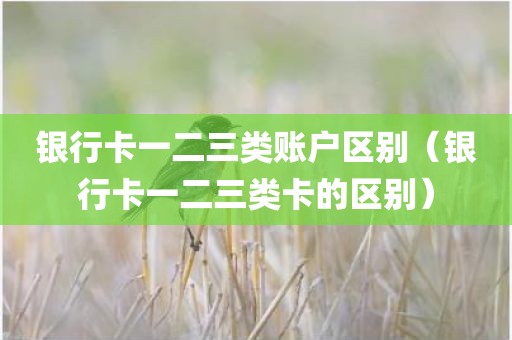 银行卡一二三类账户区别（银行卡一二三类卡的区别）