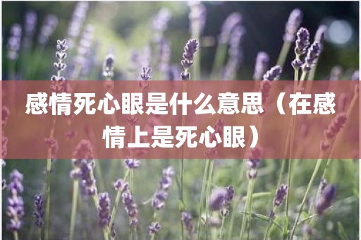 感情死心眼是什么意思（在感情上是死心眼）