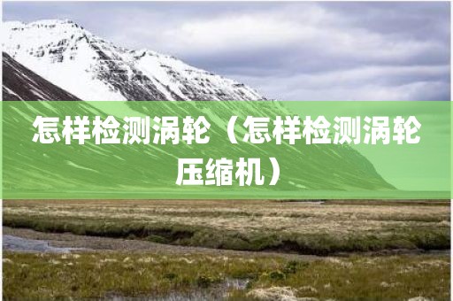 怎样检测涡轮（怎样检测涡轮压缩机）