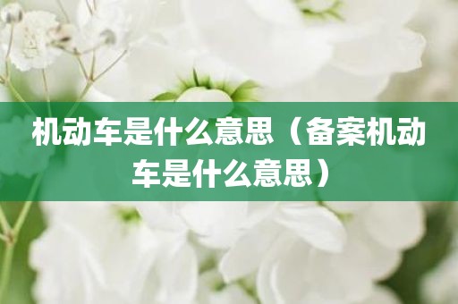 机动车是什么意思（备案机动车是什么意思）
