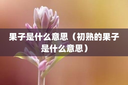 果子是什么意思（初熟的果子是什么意思）
