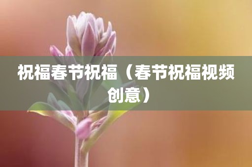祝福春节祝福（春节祝福视频 创意）