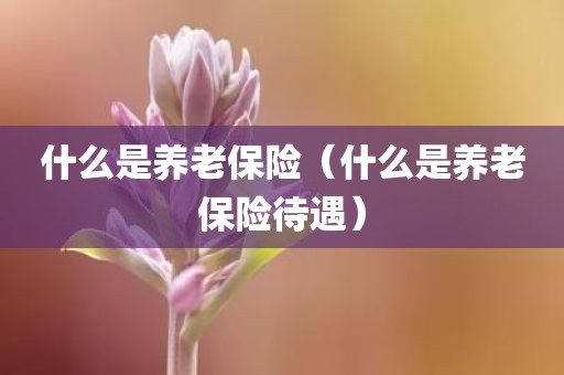 什么是养老保险（什么是养老保险待遇）