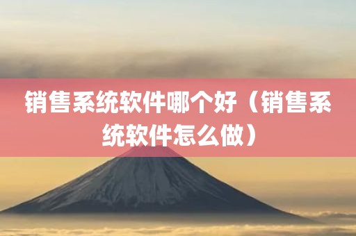 销售系统软件哪个好(销售系统软件怎么做)