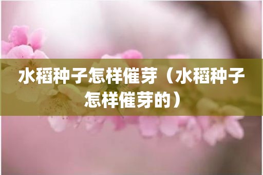 水稻种子怎样催芽（水稻种子怎样催芽的）