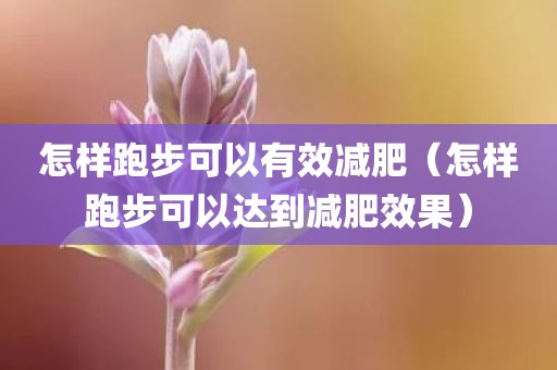 怎样跑步可以有效减肥（怎样跑步可以达到减肥效果）