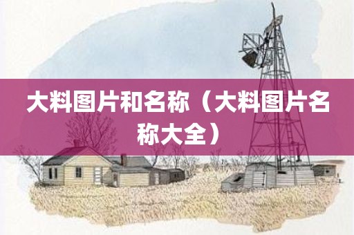 大料图片和名称（大料图片名称大全）
