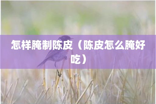 怎样腌制陈皮（陈皮怎么腌好吃）