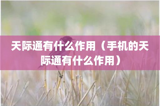 天际通有什么作用（手机的天际通有什么作用）