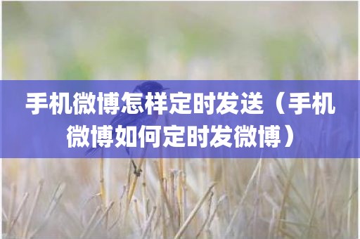 手机微博怎样定时发送(手机微博如何定时发微博) 手机微博怎样定时发送(手机微博如何定时发微博)