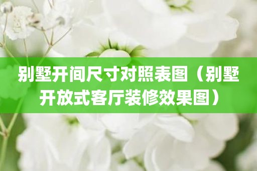 别墅开间尺寸对照表图（别墅开放式客厅装修效果图）