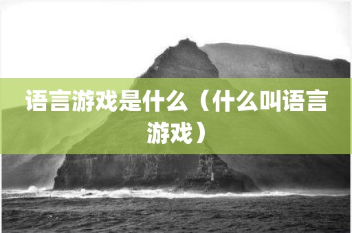 语言游戏是什么（什么叫语言游戏）
