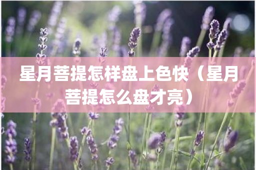 星月菩提怎样盘上色快（星月菩提怎么盘才亮）
