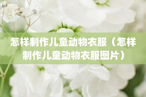 怎样制作儿童动物衣服（怎样制作儿童动物衣服图片）