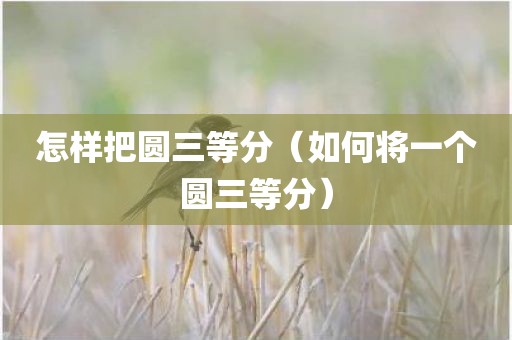 怎样把圆三等分（如何将一个圆三等分）