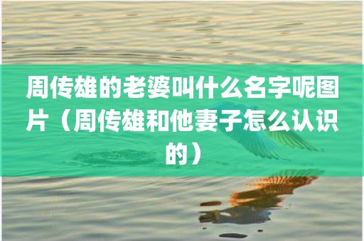 周传雄的老婆叫什么名字呢图片（周传雄和他妻子怎么认识的）