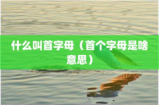 什么叫首字母（首个字母是啥意思）