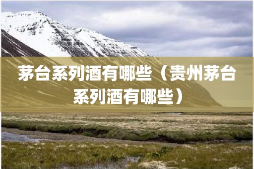 茅台系列酒有哪些（贵州茅台系列酒有哪些）