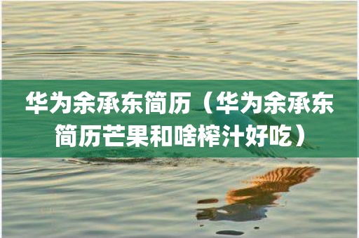 华为余承东简历（华为余承东简历芒果和啥榨汁好吃）