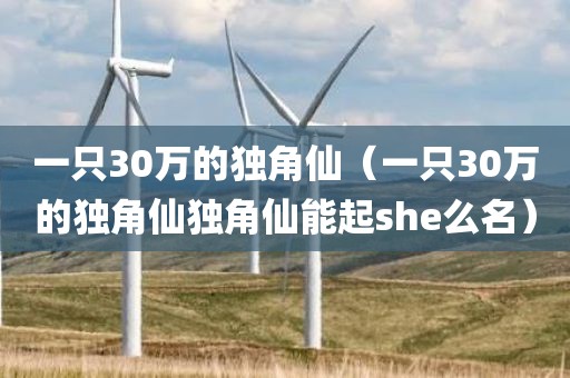 一只30万的独角仙(一只30万的独角仙独角仙能起she么名) 一只30万的独角仙(一只30万的独角仙独角仙能起she么名)