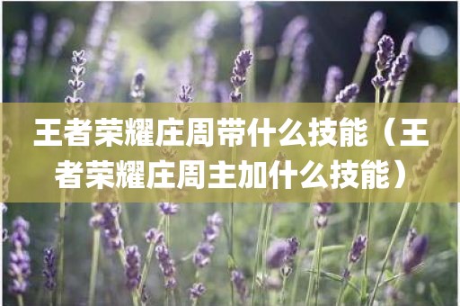 王者荣耀庄周带什么技能（王者荣耀庄周主加什么技能）
