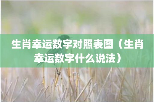 生肖幸运数字对照表图（生肖幸运数字什么说法）