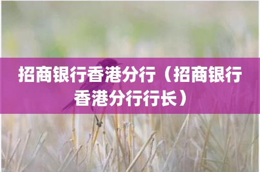 招商银行香港分行(招商银行香港分行行长)