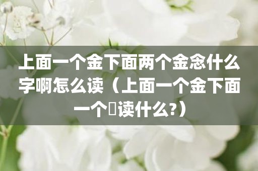 上面一个金下面两个金念什么字啊怎么读（上面一个金下面一个殅读什么?）